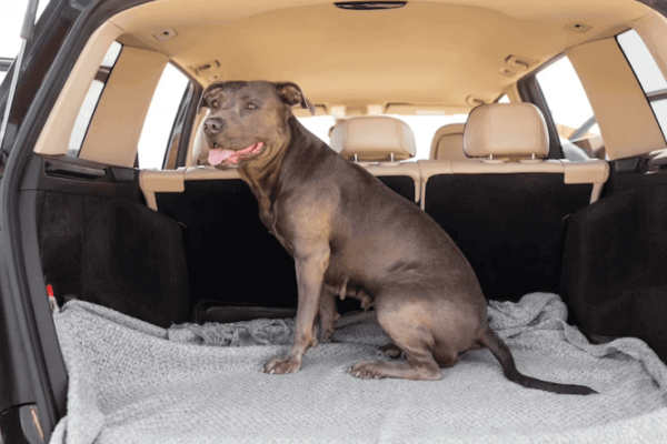 Deluxe Dog Car Seat Cover