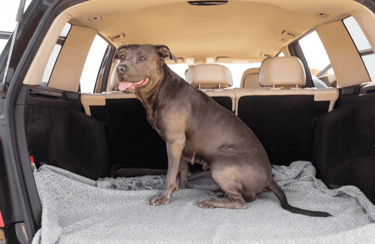 Deluxe Dog Car Seat Cover