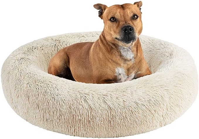 Friends Forever Serena Donut Memory Foam Orthopedic Dog Bed