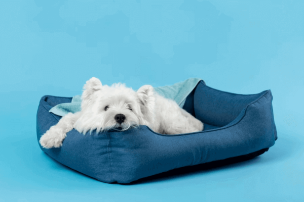 squishmallow pet bed